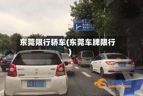 东莞限行轿车(东莞车牌限行)-第2张图片