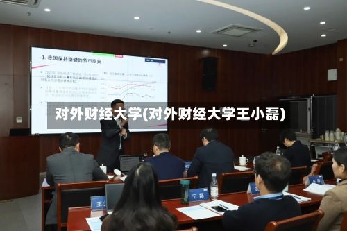 对外财经大学(对外财经大学王小磊)-第3张图片
