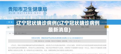 辽宁冠状确诊病例(辽宁冠状确诊病例最新消息)-第3张图片