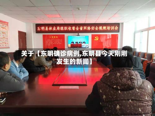 关于【东明确诊病例,东明县今天刚刚发生的新闻】-第2张图片