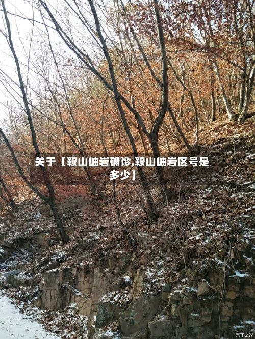 关于【鞍山岫岩确诊,鞍山岫岩区号是多少】
