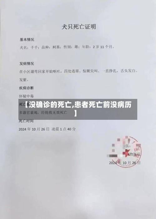 【没确诊的死亡,患者死亡前没病历】-第3张图片