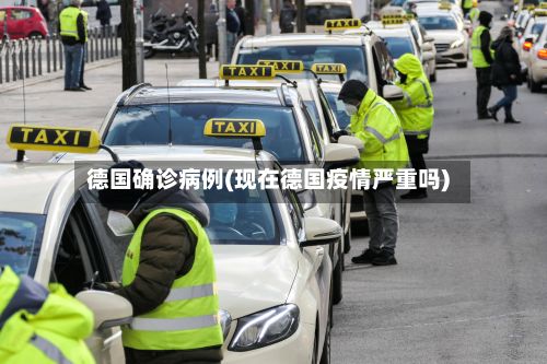 德国确诊病例(现在德国疫情严重吗)-第2张图片