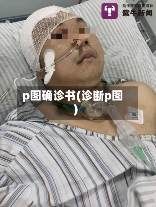 p图确诊书(诊断p图)