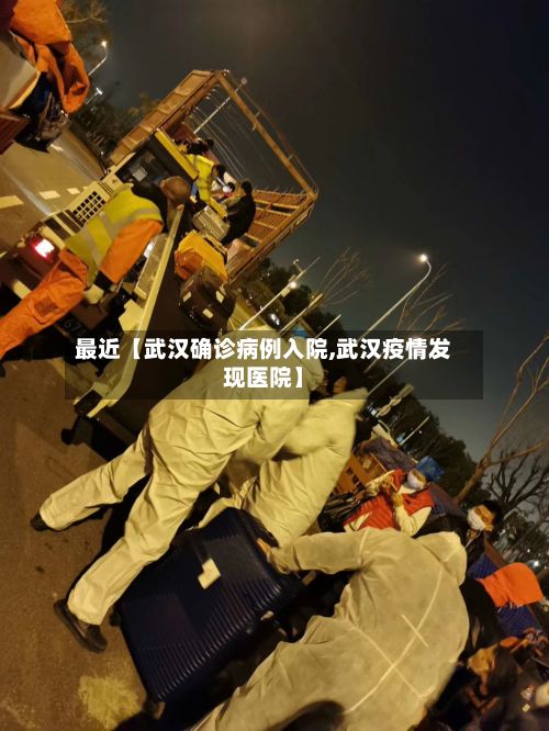 最近【武汉确诊病例入院,武汉疫情发现医院】-第2张图片