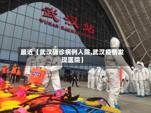 最近【武汉确诊病例入院,武汉疫情发现医院】-第3张图片