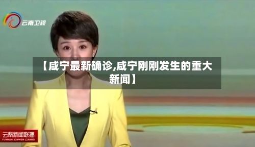 【咸宁最新确诊,咸宁刚刚发生的重大新闻】-第2张图片