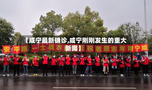 【咸宁最新确诊,咸宁刚刚发生的重大新闻】-第3张图片