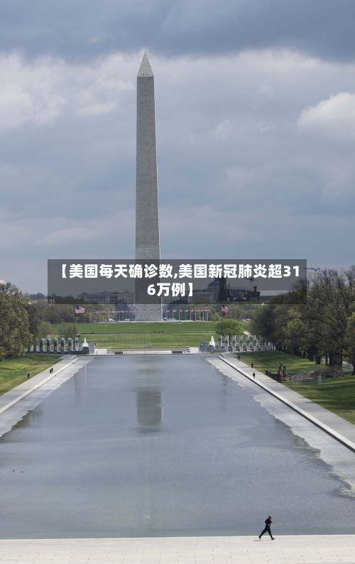 【美国每天确诊数,美国新冠肺炎超316万例】