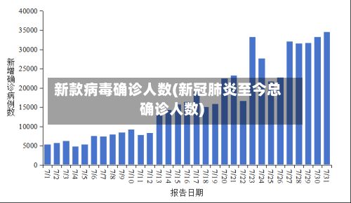 新款病毒确诊人数(新冠肺炎至今总确诊人数)-第2张图片