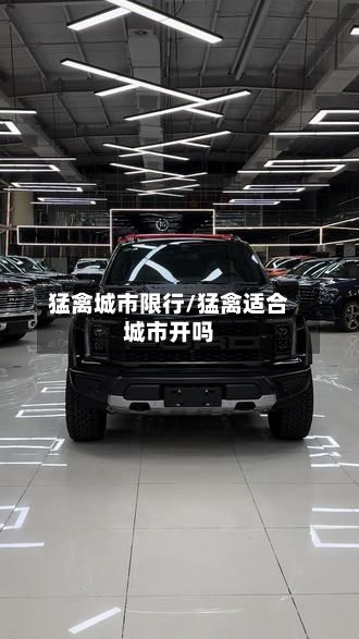 猛禽城市限行/猛禽适合城市开吗