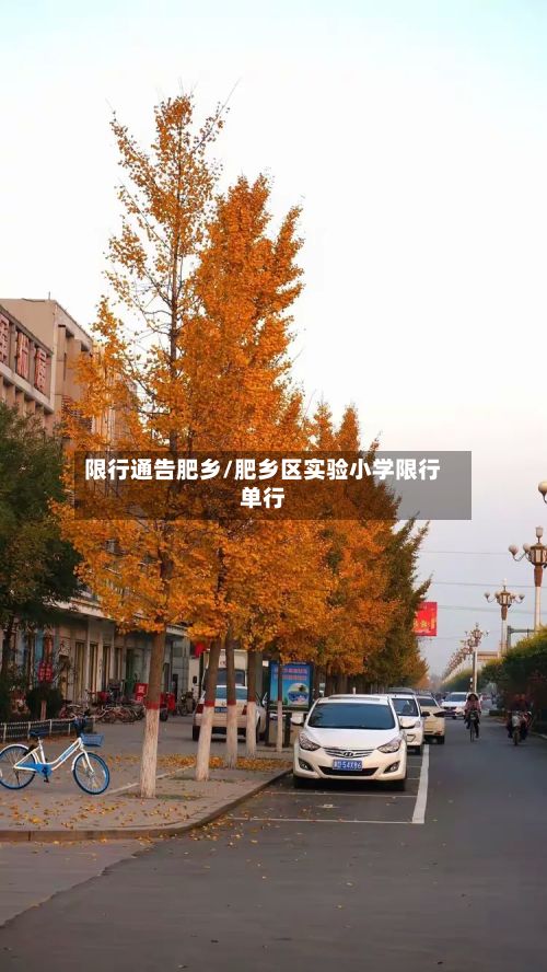 限行通告肥乡/肥乡区实验小学限行单行