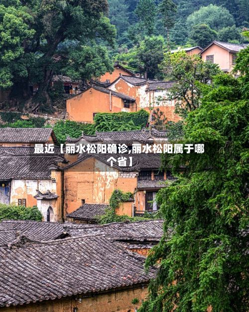 最近【丽水松阳确诊,丽水松阳属于哪个省】-第2张图片