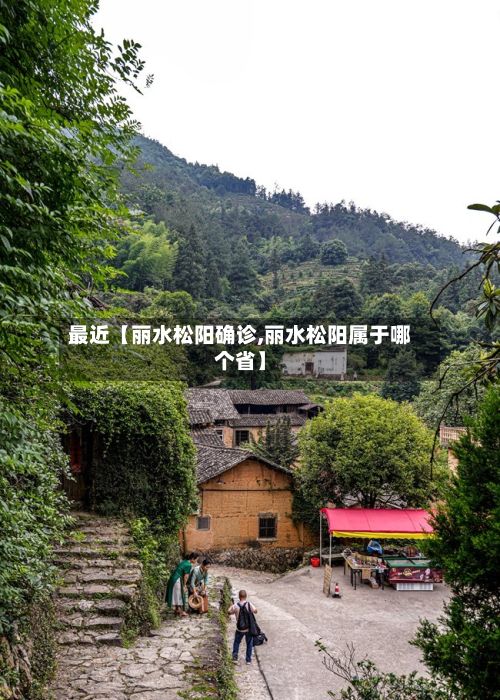 最近【丽水松阳确诊,丽水松阳属于哪个省】-第3张图片