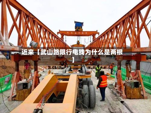 近来【武山路限行电线为什么是两根】