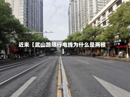 近来【武山路限行电线为什么是两根】-第3张图片