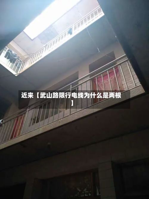 近来【武山路限行电线为什么是两根】-第2张图片
